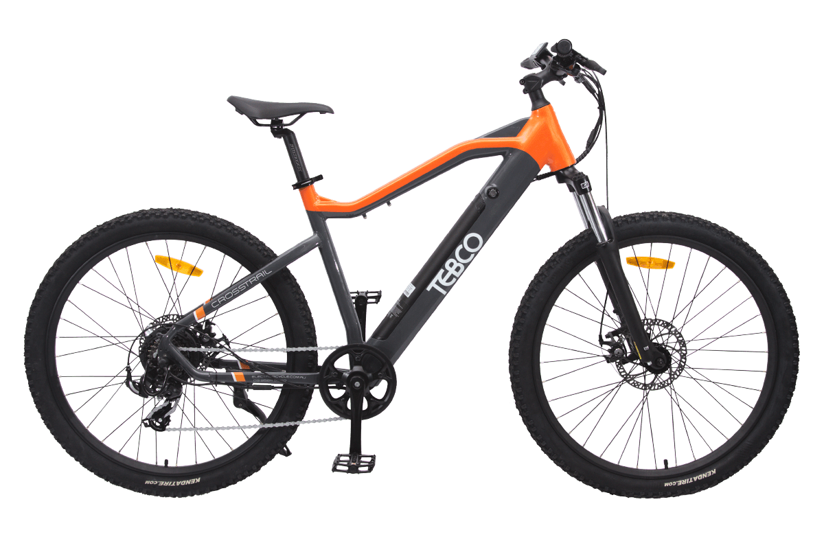 Tebco electric store bike review