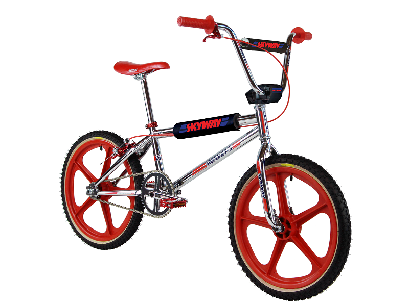 Old school 2024 skyway bmx