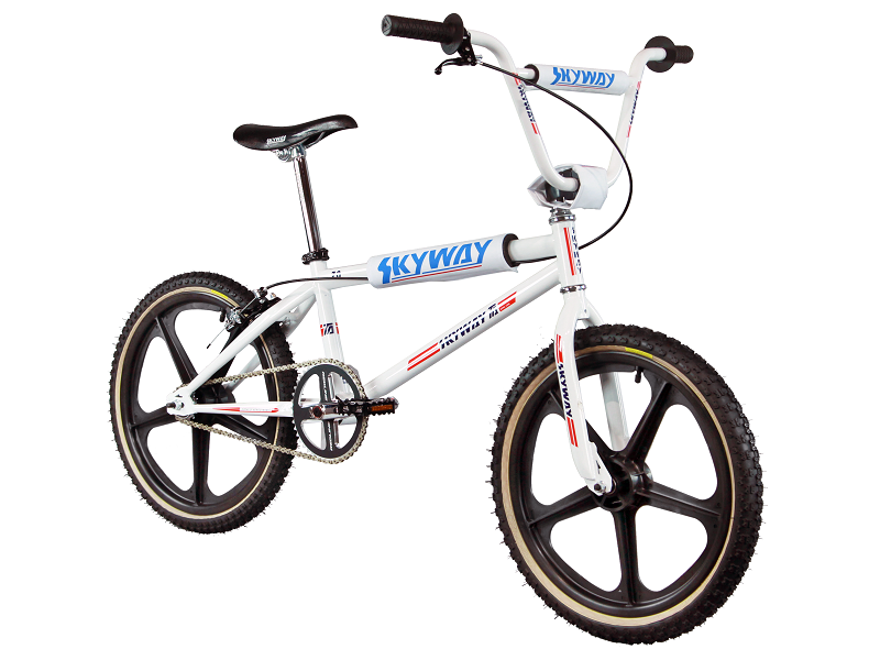 Vintage clearance skyway bmx