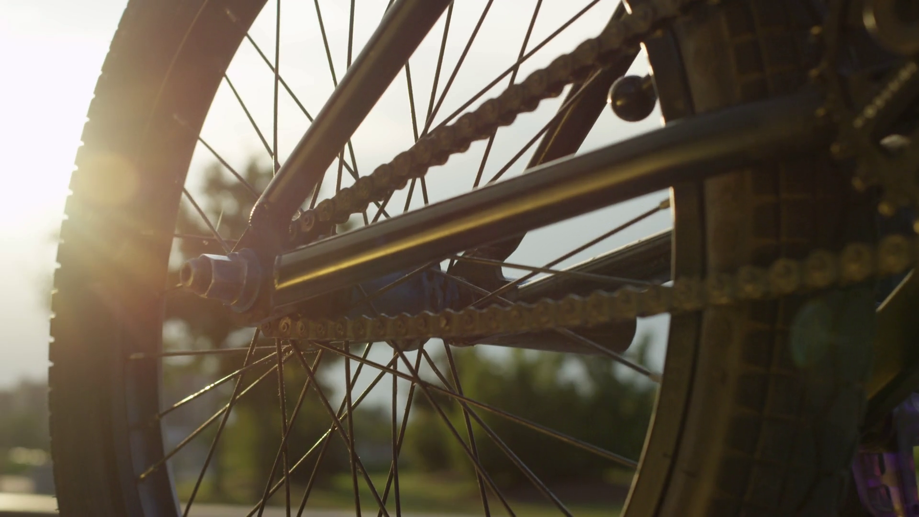 BMX Store Online